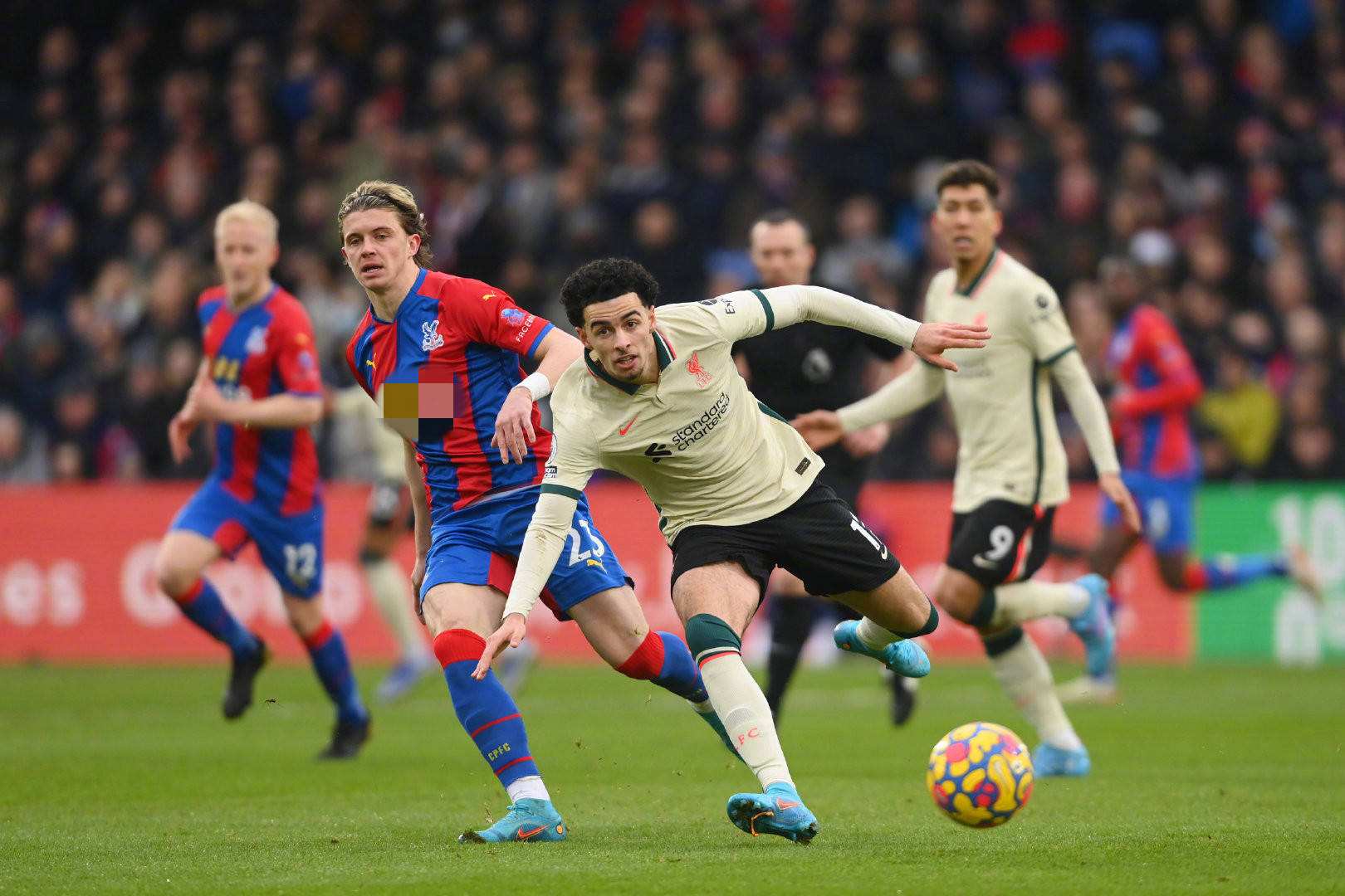 供防东契奇 供防东契奇